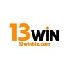 Avatar of 13winbizcom