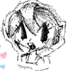 Avatar of Spookyu