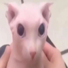 Avatar of UrMom