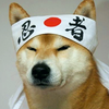 Avatar of itsumbrella