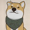 Avatar of shiba_work