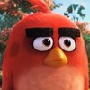 Avatar of angrybirdboy