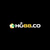 Avatar of Ho88