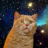 Avatar of C0T
