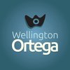 Avatar of WellingtonOrtega