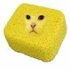Avatar of Funny_SpongeCat
