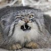 Avatar of ppopoo2
