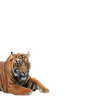Avatar of hwerner