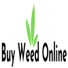 Avatar of Buy Weed Online