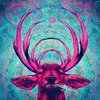 Avatar of hyrsh