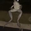 Avatar of Potato777