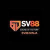 Avatar of sv88ninja