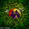 Avatar of ninjas