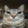 Avatar of pdbox