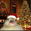 Avatar of Unknownvr323