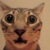Avatar of adamwcoffey