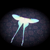 Avatar of Fawngoo