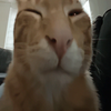 Avatar of duhmbass