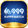 Avatar of kv999watch1