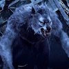 Avatar of werewolfpackalpha