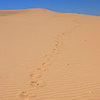 Avatar of dunedrifter
