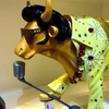 Avatar of fuyanhong8312