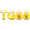 Avatar of TG88 yachts