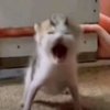 Avatar of jqfjqf