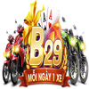 Avatar of b29team