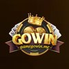 Avatar of Gowin