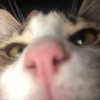 Avatar of samVFX7