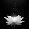 Avatar of Quynh.Vu