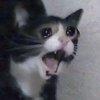 Avatar of remaster2011