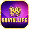 Avatar of 88vinlife