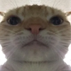 Avatar of Yello