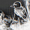 Sketchfab profile picture for @albatross