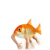 Avatar of sa058687
