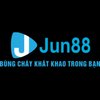 Avatar of jun888app1