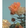 Avatar of bb.com