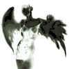 Avatar of ario