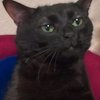 Avatar of uduehjj