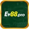 Avatar of ev88pro