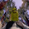 Avatar of stip406