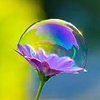 Avatar of boombubble