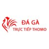 Avatar of Đá Gà Trực Tiếp Thomo Hôm Nay