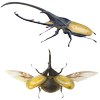 Avatar of kanchai.noen