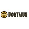 Avatar of dortmundvncom