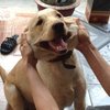 Avatar of Manhbrush