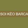 Avatar of soikeobarcaxyz