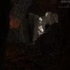 Avatar of Wilifo